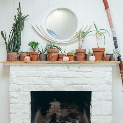 Potted plants lined up on a fire mantle